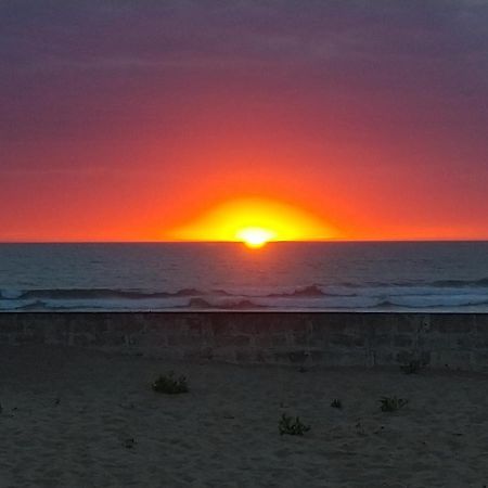 L'Ocenoa Villa Mimizan-Plage Exteriör bild