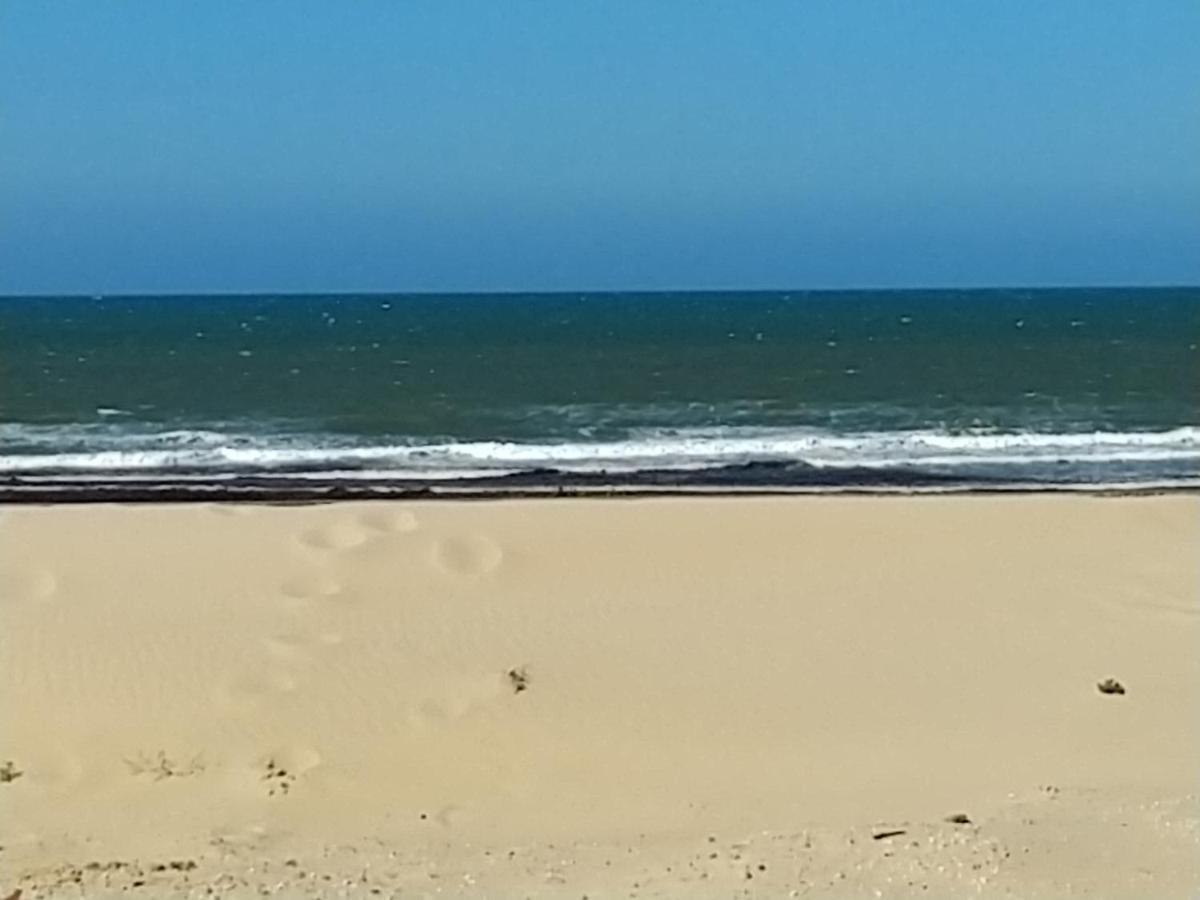 L'Ocenoa Villa Mimizan-Plage Exteriör bild